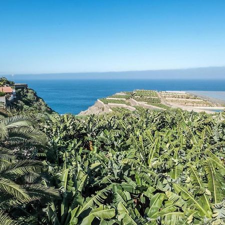 Finca Alejandrina La Guancha Εξωτερικό φωτογραφία