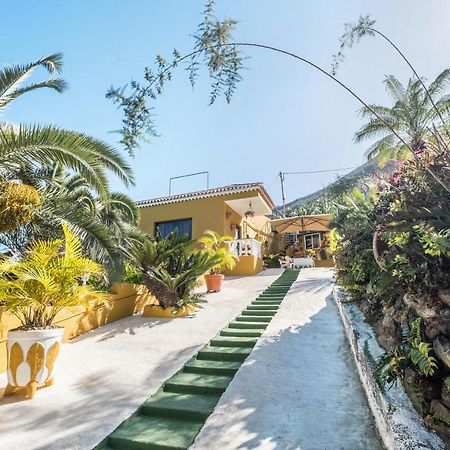Finca Alejandrina La Guancha Εξωτερικό φωτογραφία