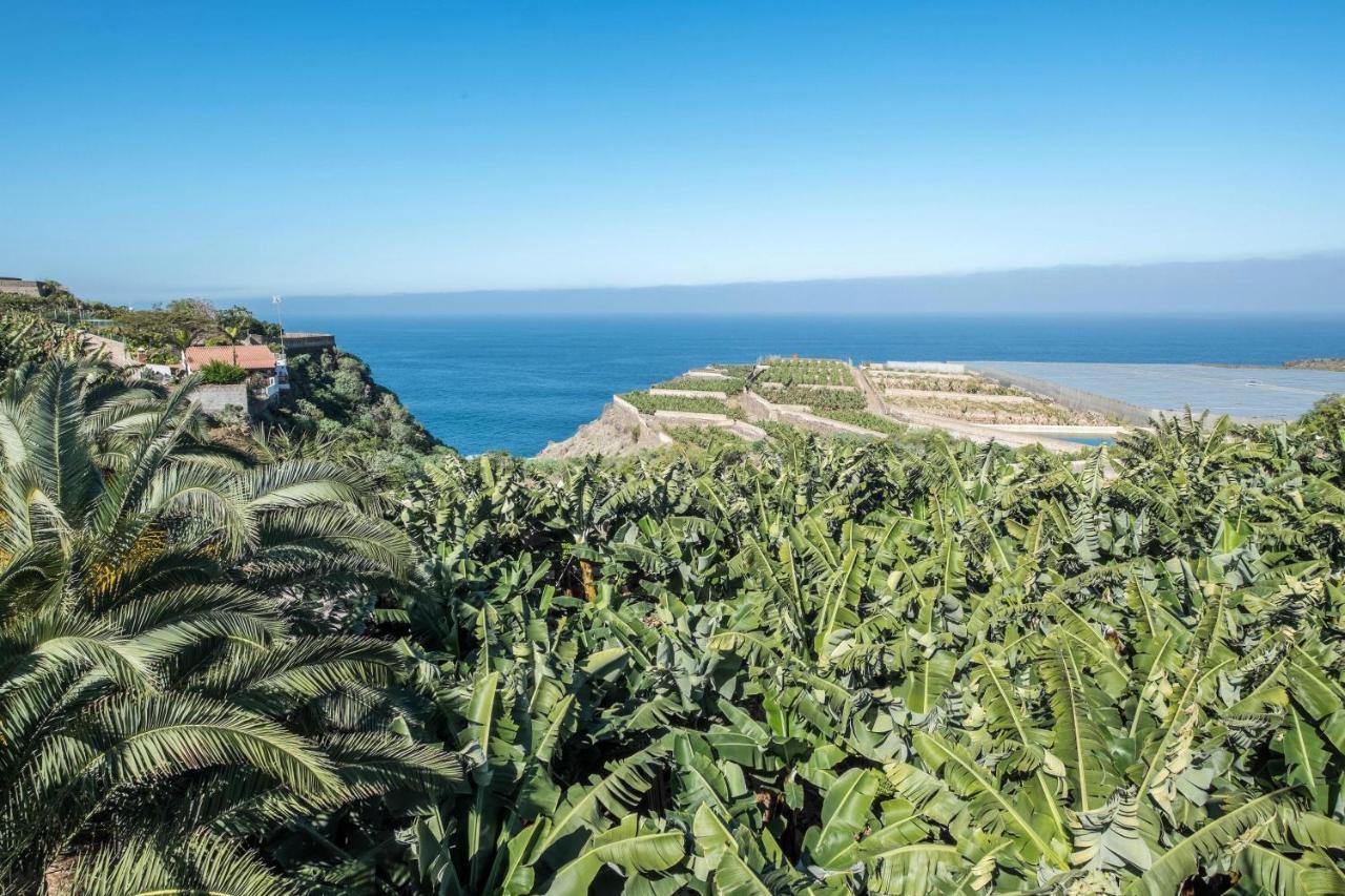 Finca Alejandrina La Guancha Εξωτερικό φωτογραφία