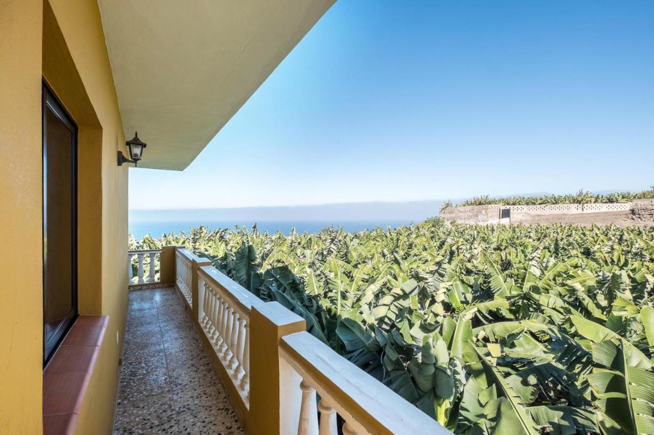Finca Alejandrina La Guancha Εξωτερικό φωτογραφία