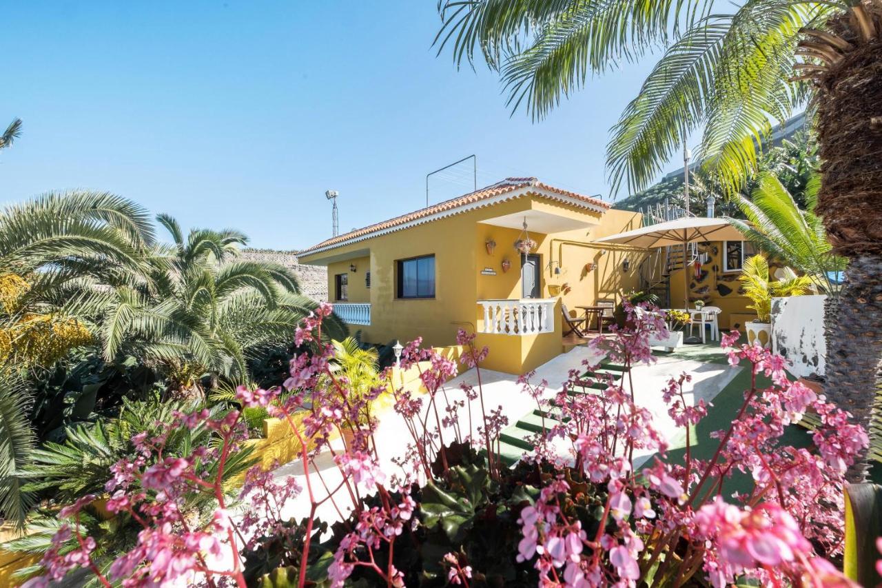 Finca Alejandrina La Guancha Εξωτερικό φωτογραφία