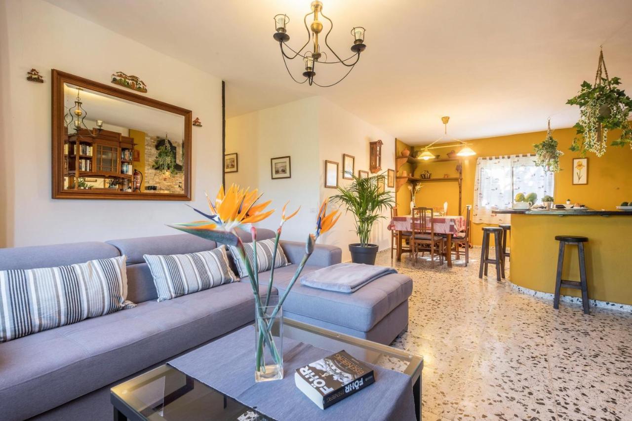 Finca Alejandrina La Guancha Εξωτερικό φωτογραφία